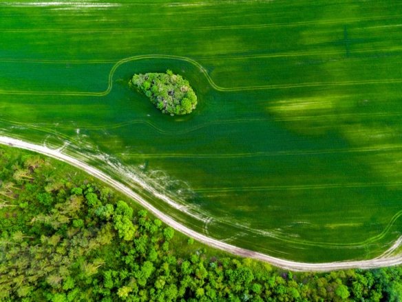 Spacious Land