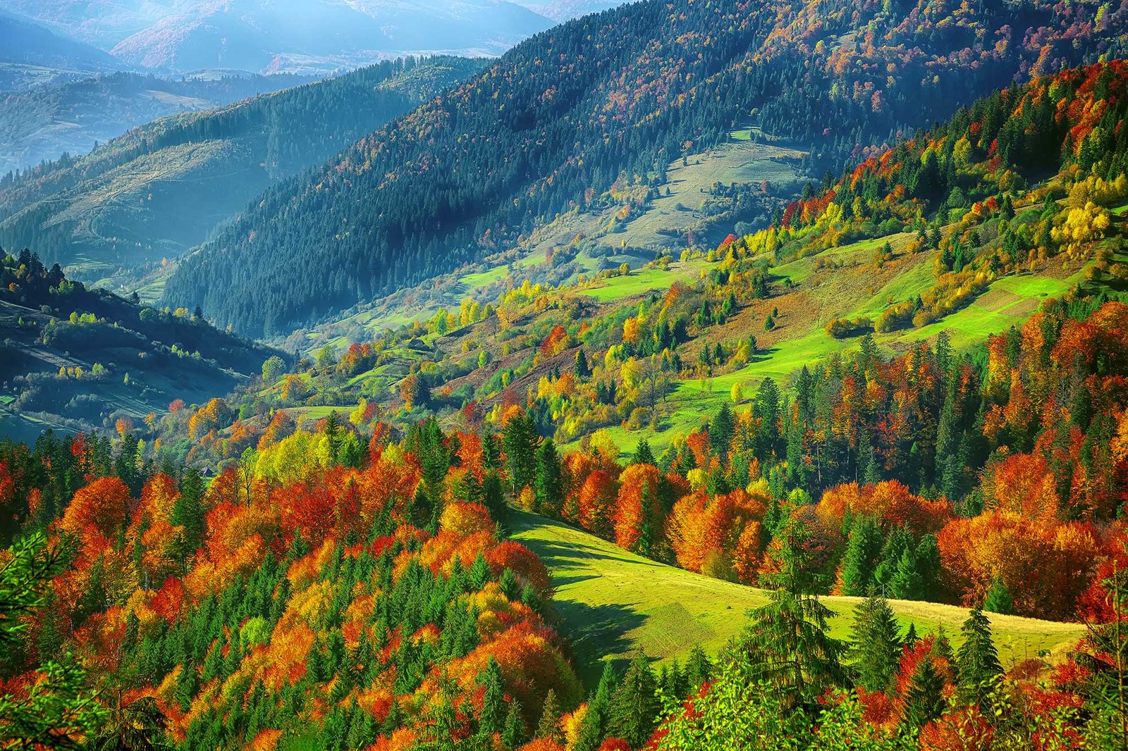 0039 Natural Lands